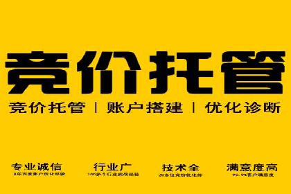 某行业sem竞价开户的经典案例剖析